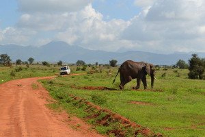 Kenia Taita Hills Wildlife Sanctuary