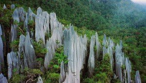 Malaysia - Borneo - Gunung Mulu National Park