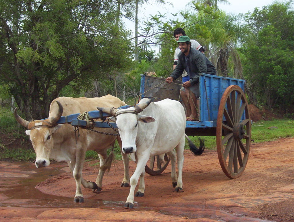Paraguay - Transportmittel